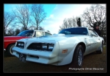 Pontaic Trans Am 79